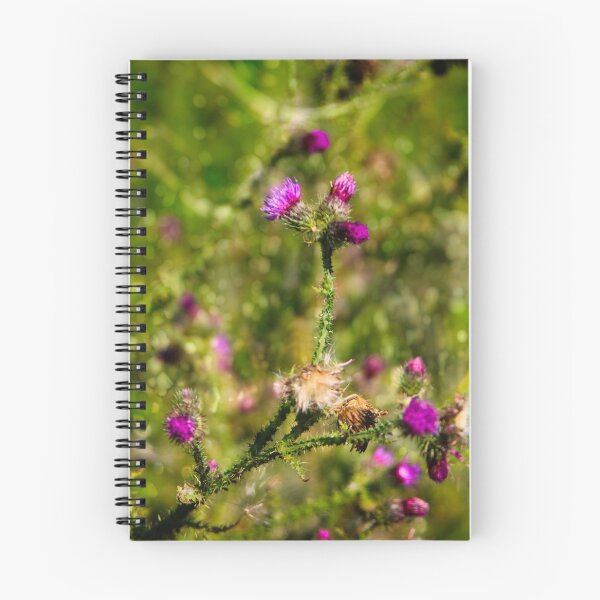 Item preview, Spear Thistle designed and sold by BritishYank.