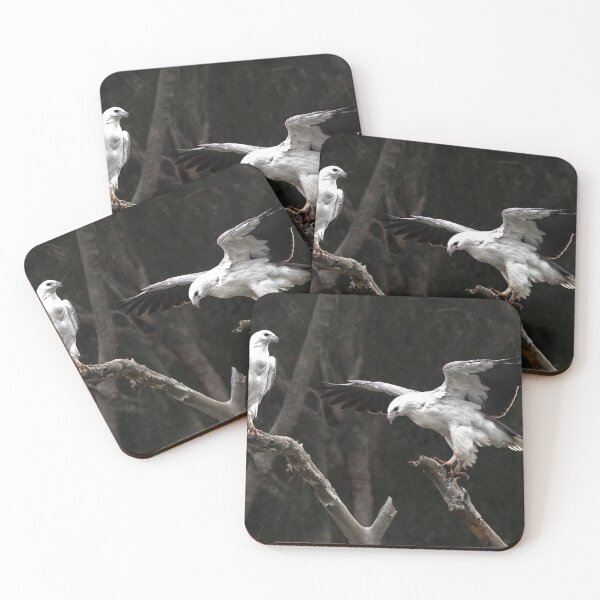 Item preview, Sea Eagle designed and sold by John Van Den Broeke.