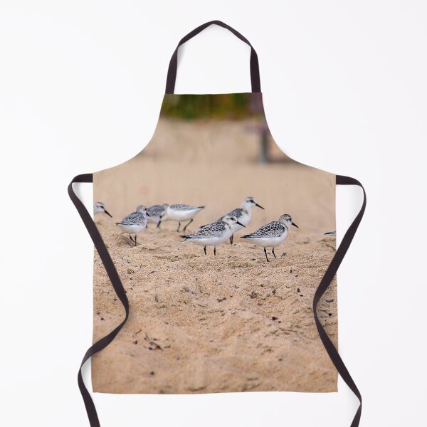 Item preview, Sand Plovers (or grey plovers), Old Orchard Beach, Maine designed and sold by Yannik Hay.
