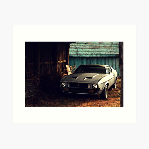 Mustang Art Print