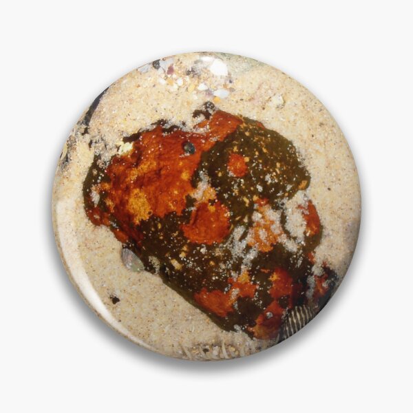 Item preview, Mini Rockpool, South Beach, Wollongong, Australia. designed and sold by kaysharp.