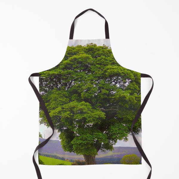 Item preview, Yew Tree, Aberdeenshire, Scotland, UK designed and sold by Yannik Hay.