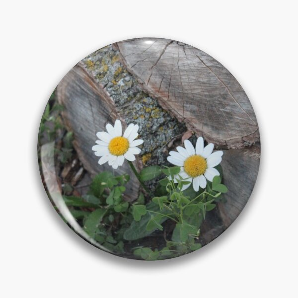 Item preview, Wild Daisies in the Apple Wood Pile designed and sold by Susie Kramer.