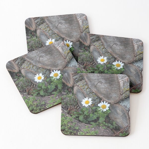 Item preview, Wild Daisies in the Apple Wood Pile designed and sold by Susie Kramer.
