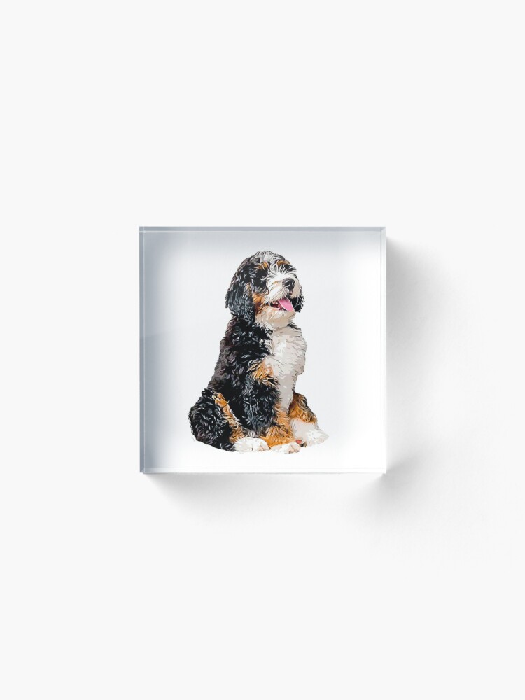 Bernedoodle Puppy - Diamond Paintings 