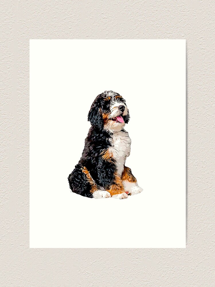 Cute bernedoodle hot sale