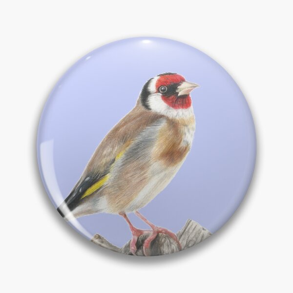 Artikelvorschau, Goldfinch Bird Bleistiftzeichnung entworfen und verkauft von rosemarydrawing.