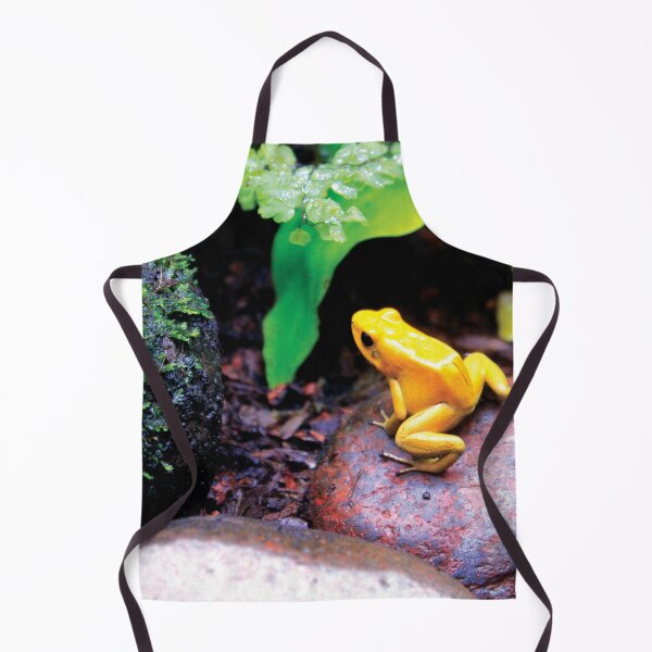 Item preview, The Golden Poison Frog designed and sold by NicoAndBaz.