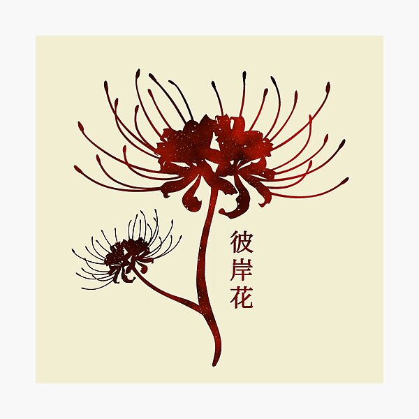 Flower Silhouette Photographic Print By Ivonnii Redbubble Flower Silhouette Photographic Print By Ivonnii Redbubble