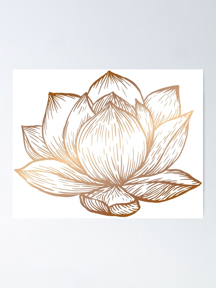 Golden Lotus Flower on White Poster for Sale by Cecilia Mok