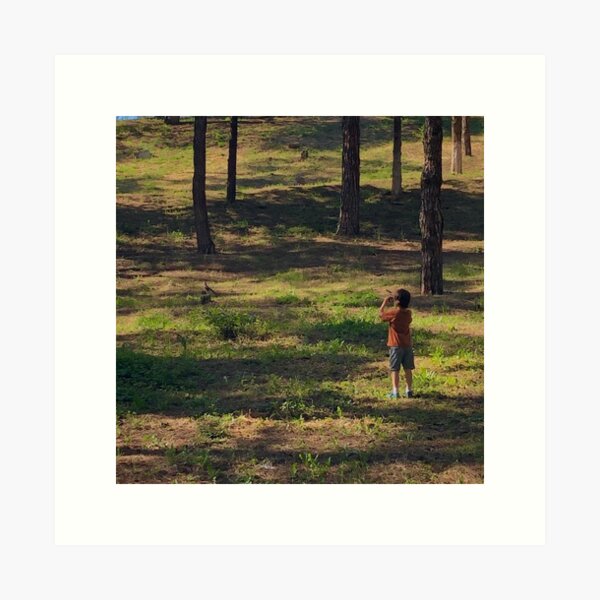 Item preview, picture of a boy in the woods, birdwatching the jay  designed and sold by conceptDVS.