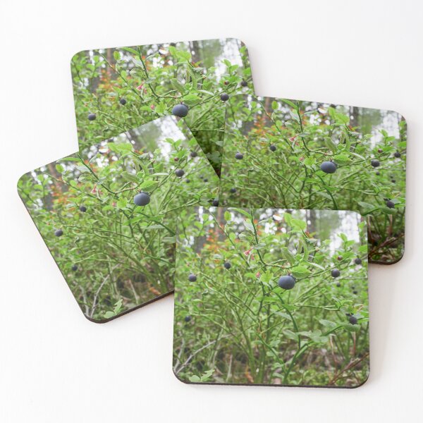 Artikelvorschau, Heidelbeeren im Wald entworfen und verkauft von Jouko Lehto Photography.