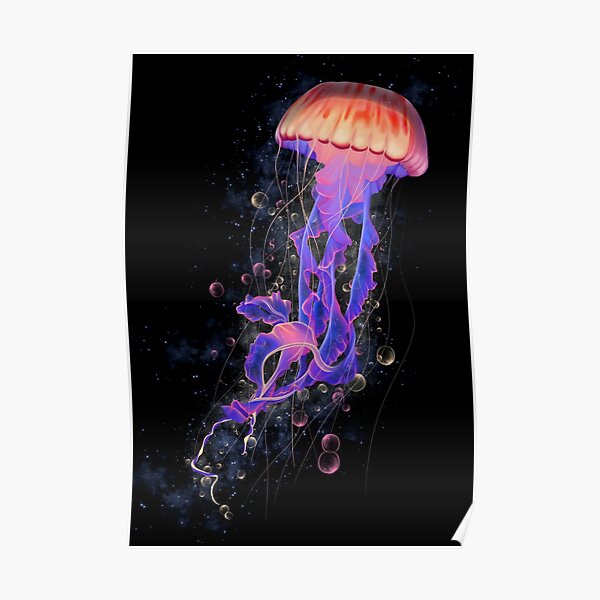 Jellyfish Poster