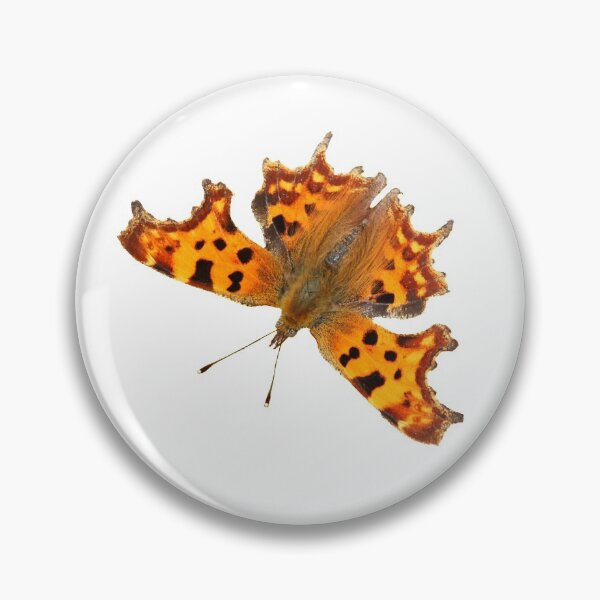 Item preview, Orange Comma Butterfly designed and sold by Jane Stanley Photography.