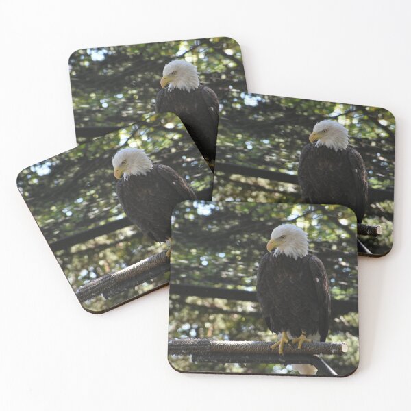 Item preview, Bald Eagle's Landing designed and sold by christalscamera.