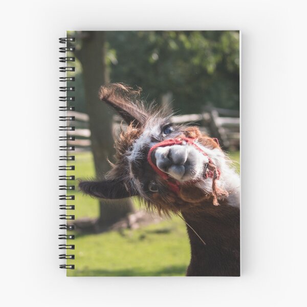 Item preview, Llama designed and sold by dmlb photography.
