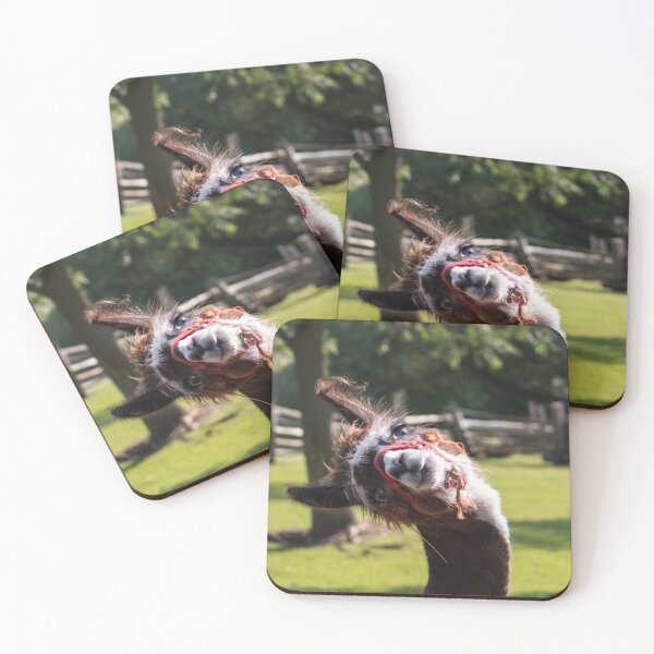 Item preview, Llama designed and sold by dmlb photography.