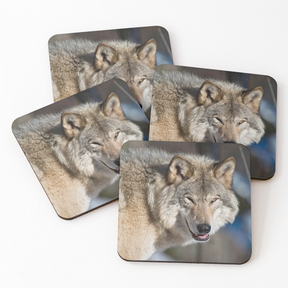 Item preview, Coasters (Set of 4) designed and sold by WolvesOnly.