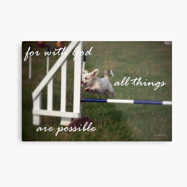 Poodle Agility Dog Scripture Art For with God all things are Possible Metal Print