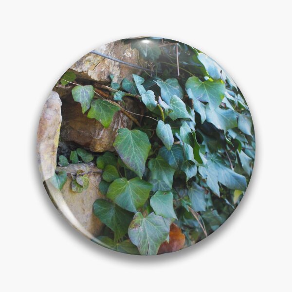 Item preview, Green Ivy designed and sold by ksweetphoto.