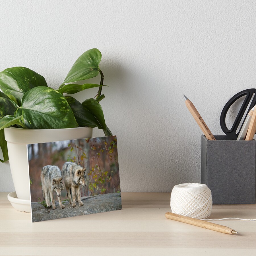 Item preview, Art Board Print designed and sold by WolvesOnly.