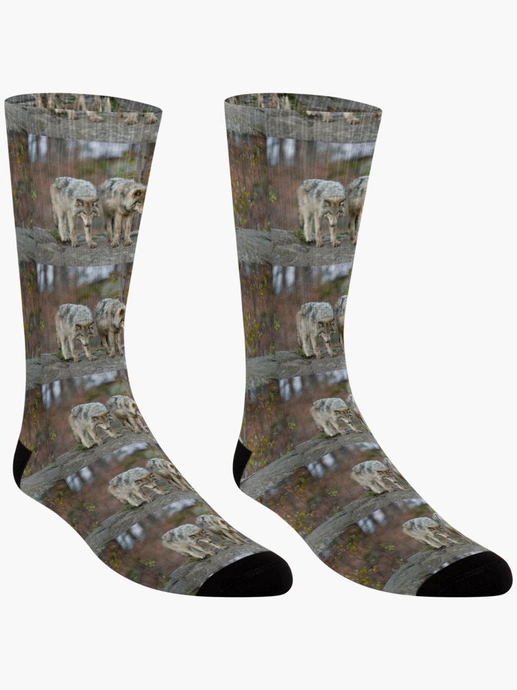 Thumbnail 3 of 5, Socks, Timber Wolves designed and sold by WolvesOnly.