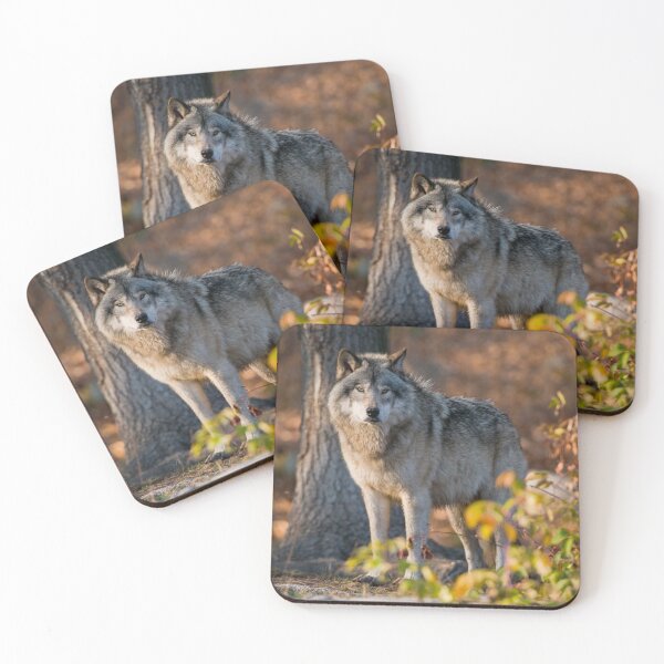 Item preview, Timber Wolf designed and sold by WolvesOnly.