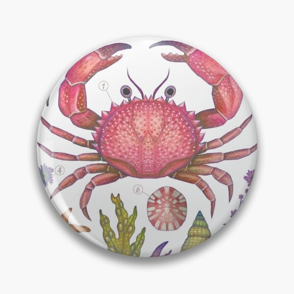 Item preview, Aequoreus vita I designed and sold by Cabinet Of Curiosities by Vlad.