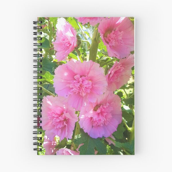 Aperçu de l'œuvre Roses trémières rose délicat créée et vendue par CelticNutter.