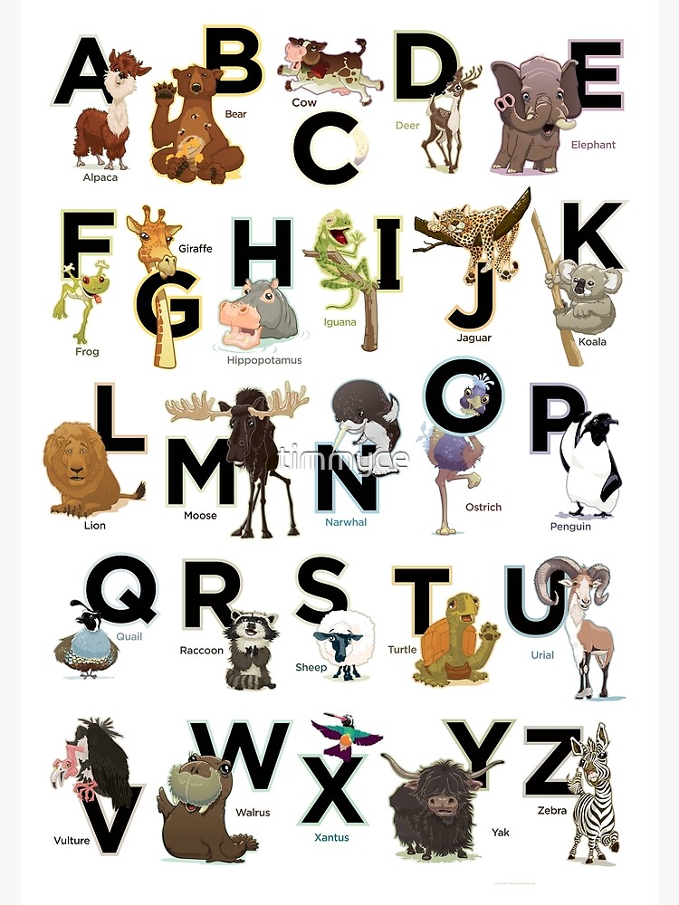 "The Animal Alphabet" Poster for Sale by timmyce | Redbubble