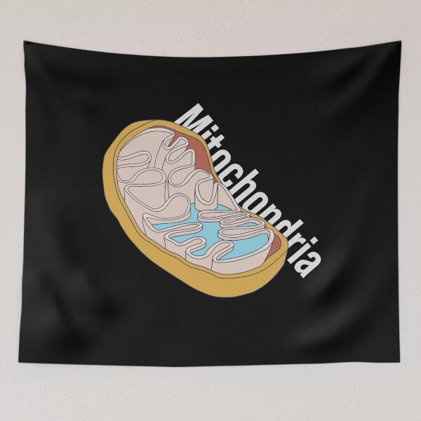 Item preview, Mitochondria - Chemistry Graphic Text - Membrane Cell designed and sold by DeWinnes.