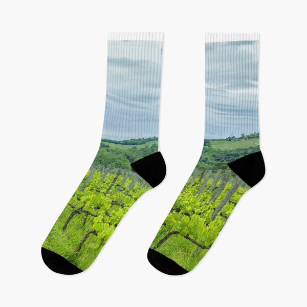 Item preview, Tuscan vineyards designed and sold by Photopat.