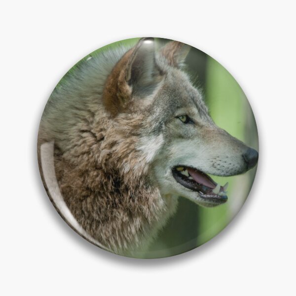 Item preview, Timber Wolf designed and sold by WolvesOnly.