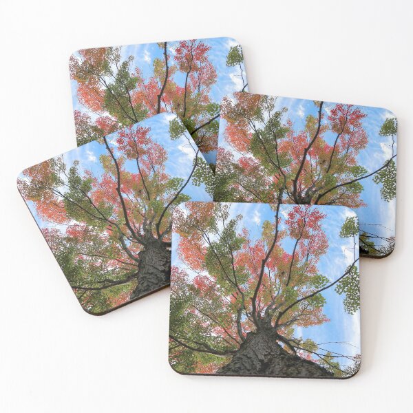 Item preview, autumn's takeover designed and sold by mer wilcox.