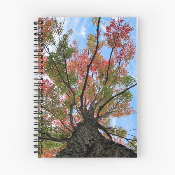 Item preview, autumn's takeover designed and sold by mer wilcox.