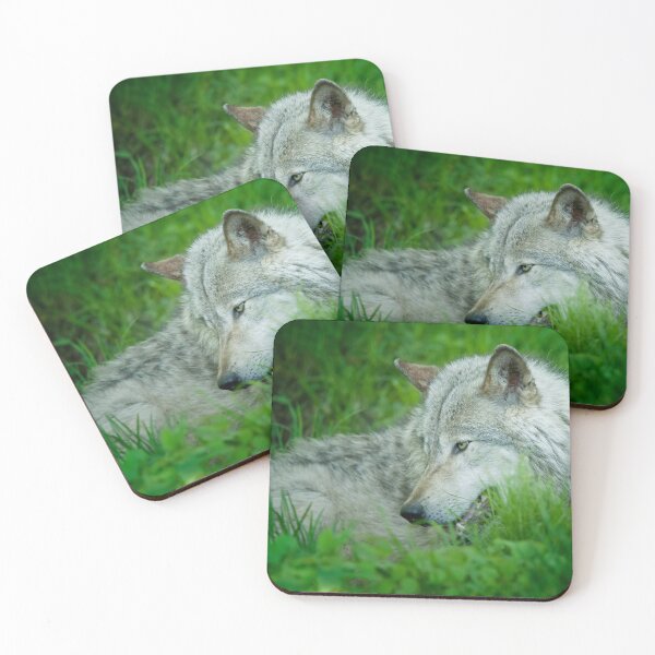 Artikelvorschau, Timber Wolf entworfen und verkauft von WolvesOnly.