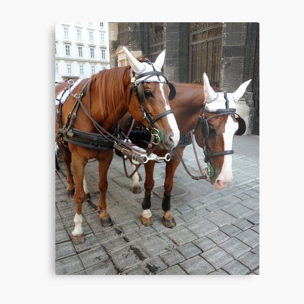 Item preview, Vienna Austria, St.Stephens Cathedral, Horses designed and sold by Gregory Dyer.
