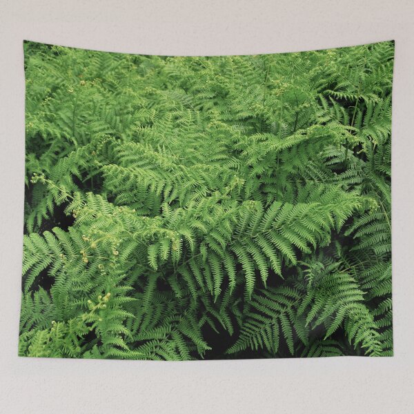 Item preview, Bold green fern fronds image designed and sold by NavyOx.