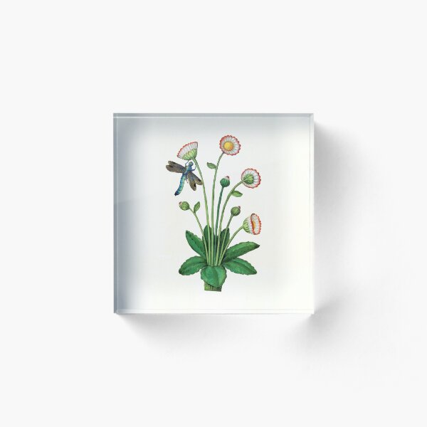 Daisy days Acrylic Block