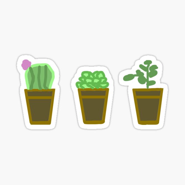 Succulents Sticker Pack Sticker