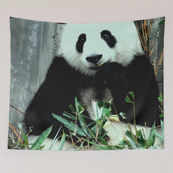 Item preview, eating panda  designed and sold by ahmadshalqeh.