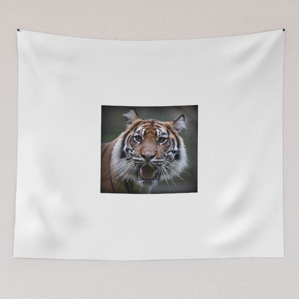 Item preview, tiger designed and sold by sully.