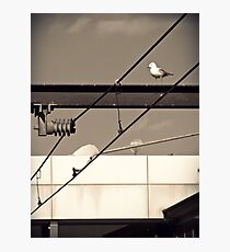 Not so happy Photographic Print