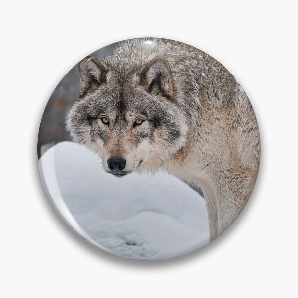 Item preview, Timber Wolf designed and sold by WolvesOnly.