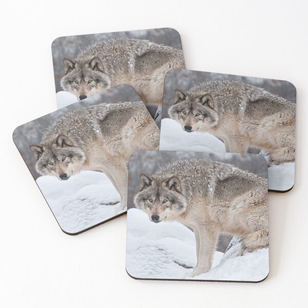 Item preview, Timber Wolf designed and sold by WolvesOnly.