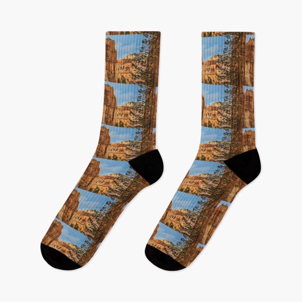 Item preview, USA. Utah. Bryce Canyon National Park. Tree. designed and sold by vadim19.