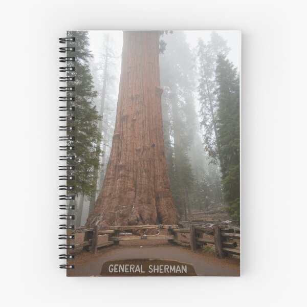 Item preview, General Sherman Tree designed and sold by dmlb photography.