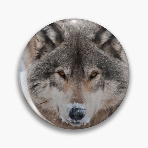 Item preview, Timber Wolves designed and sold by WolvesOnly.