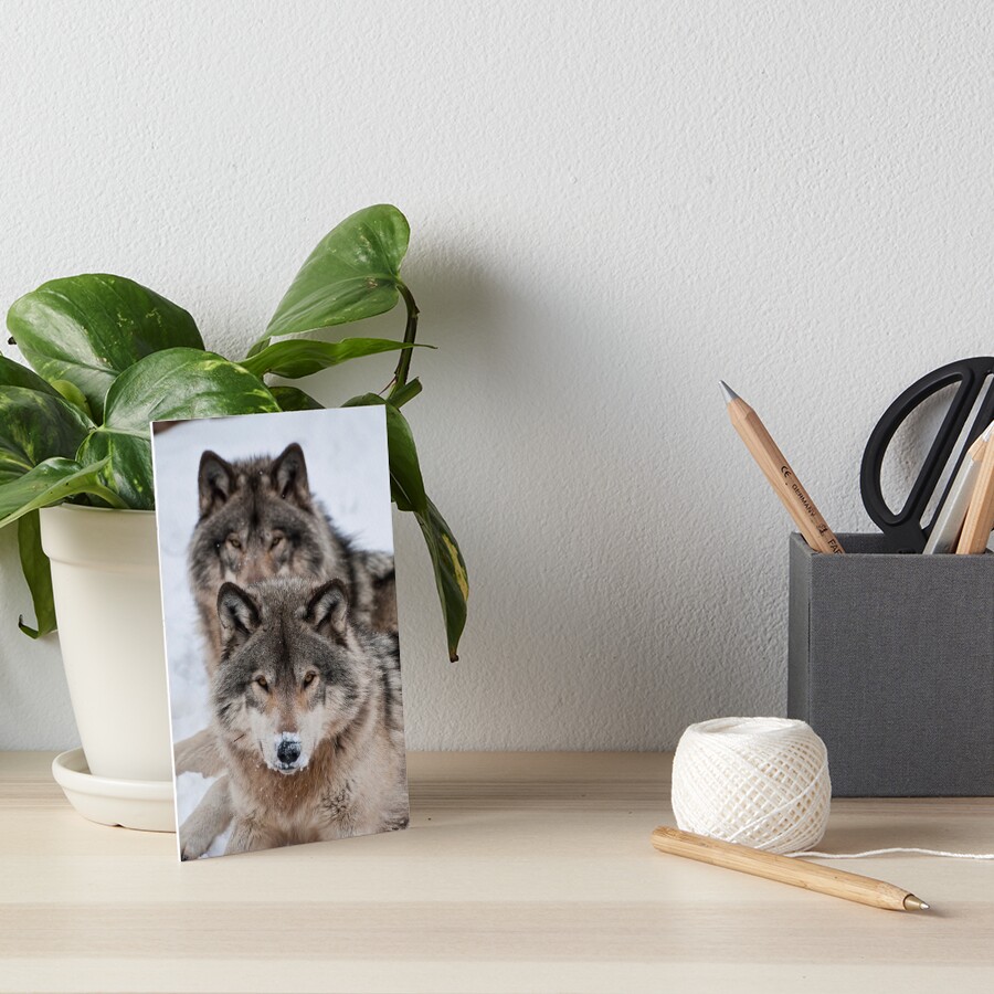 Item preview, Art Board Print designed and sold by WolvesOnly.