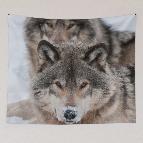 Artikelvorschau, Timber Wolves entworfen und verkauft von WolvesOnly.